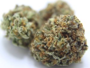 Organic Hobama ** SALE * 1oz -$100 Or $50-1/2oz **