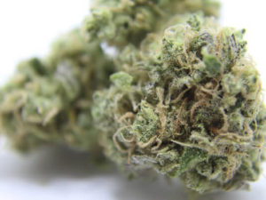 Organic Strawberry Diesel