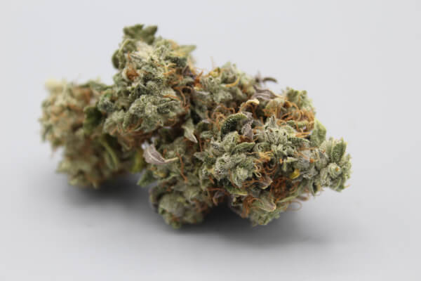 Organic Tahiti Lime
