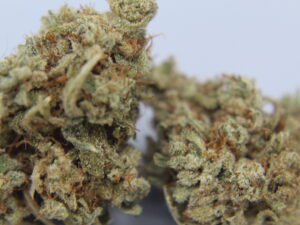 Organic Animal Cookies *SALE* 1oz -$100 Or $50-1/2oz ** slightly seedy